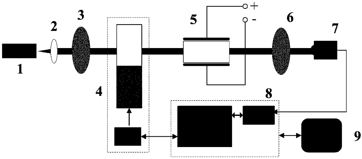 Photoelastic modulation and electro-optical modulation-combined voltage sensing device and detection method