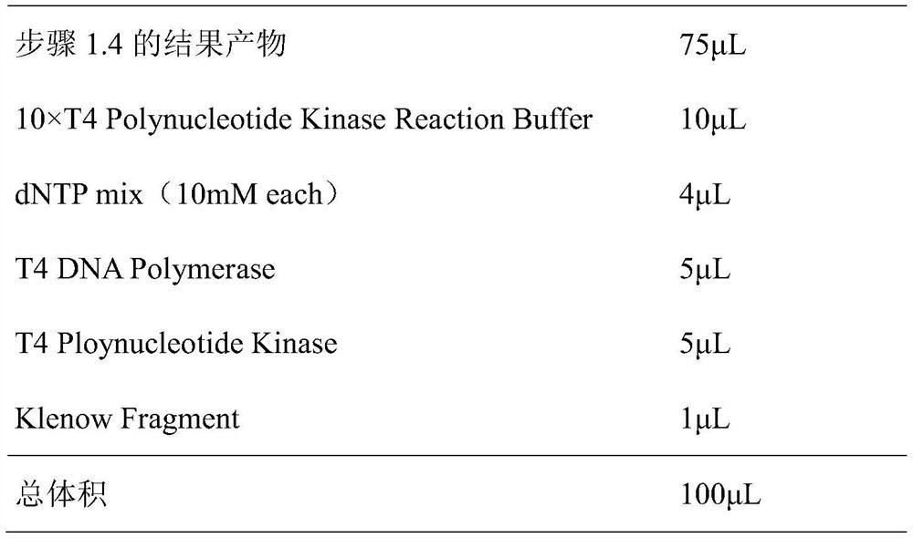 A kind of construction method and application of dna large fragment library