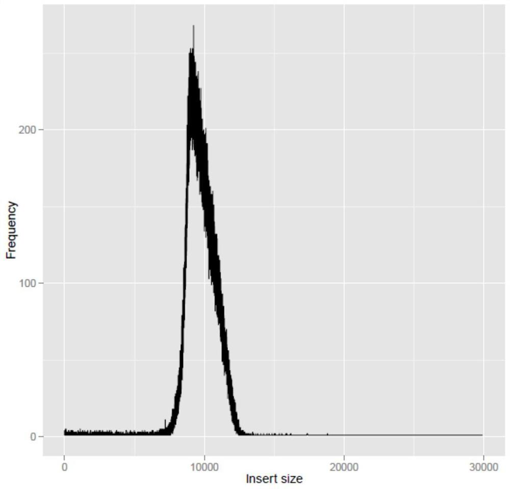 A kind of construction method and application of dna large fragment library