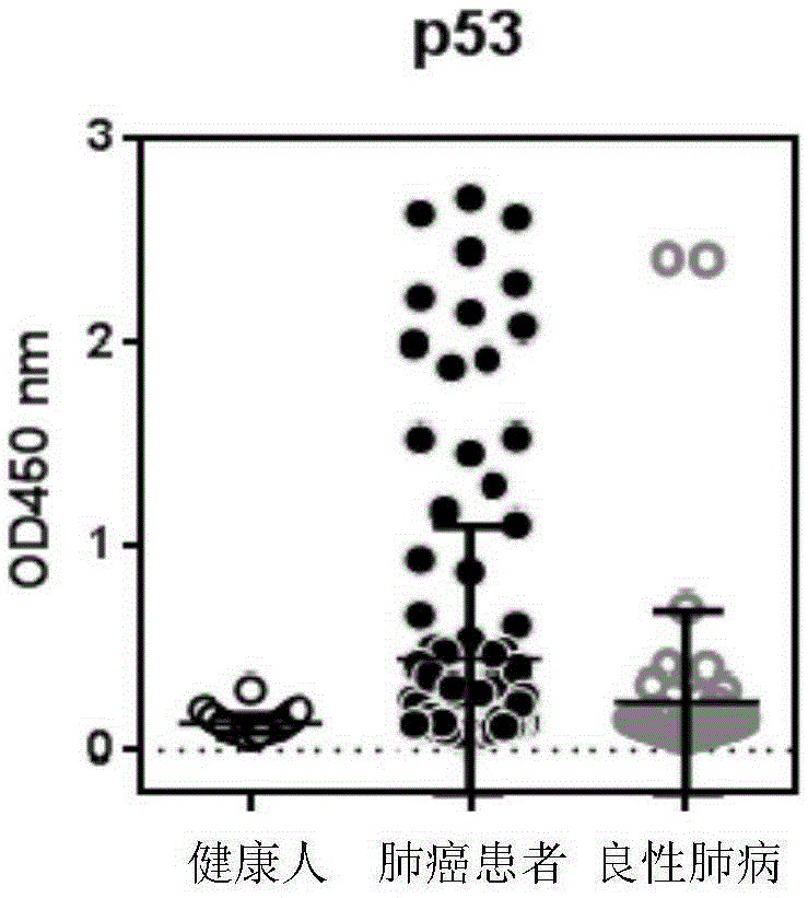 A serum autoantibody detection kit