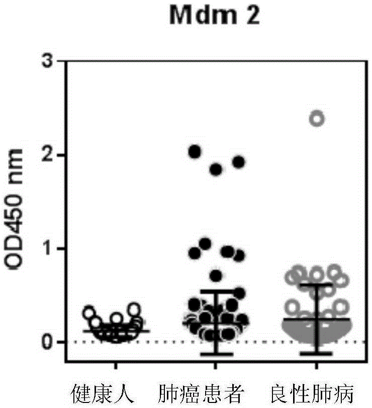 A serum autoantibody detection kit