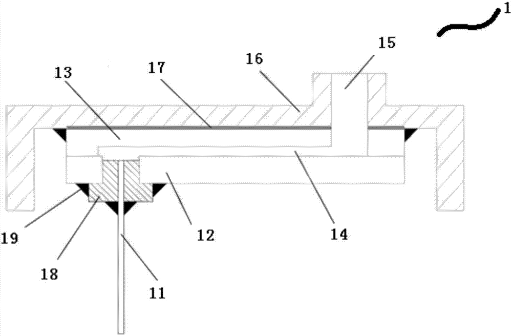 Automatic sample injection system based on micro-fluidic chip