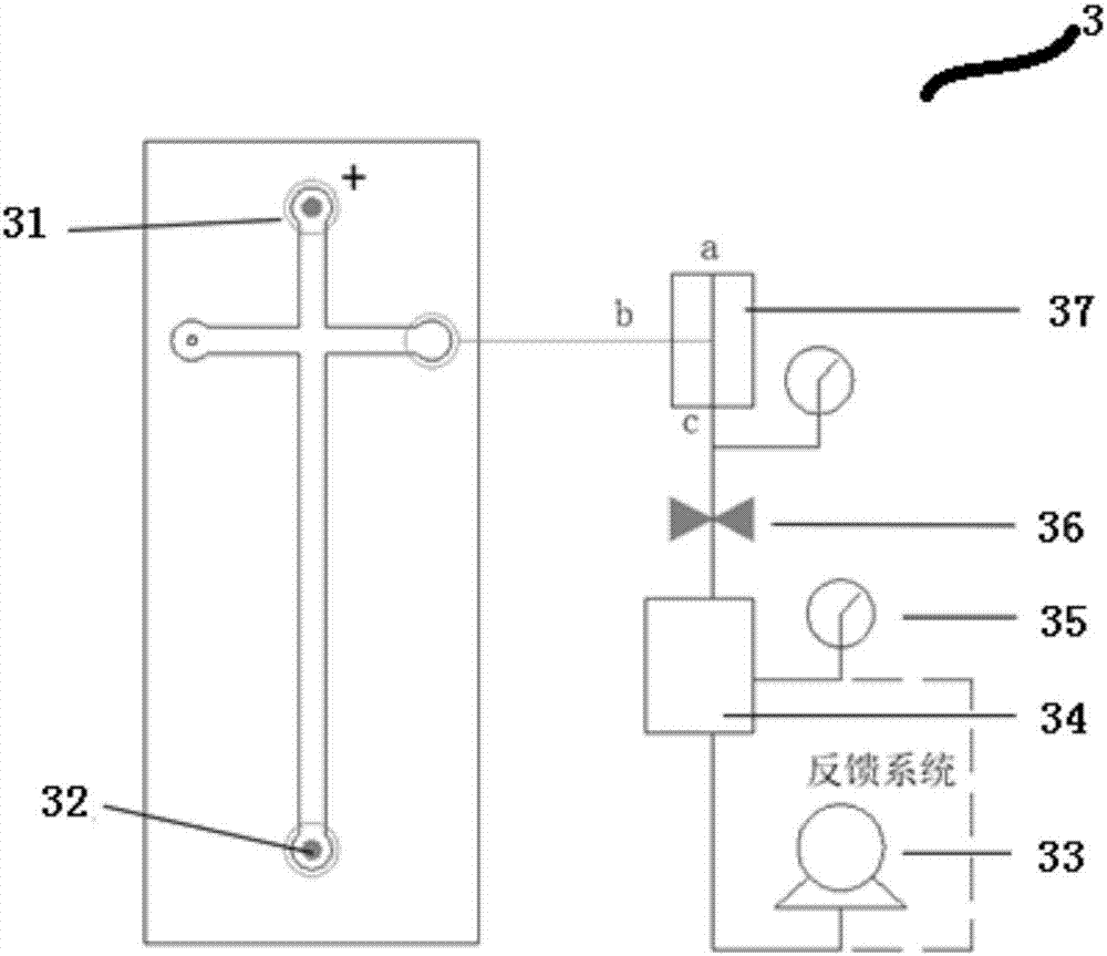 Automatic sample injection system based on micro-fluidic chip