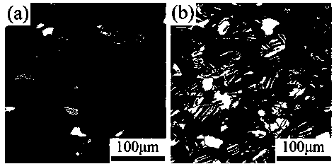 Method for refining magnesium alloy crystal grains