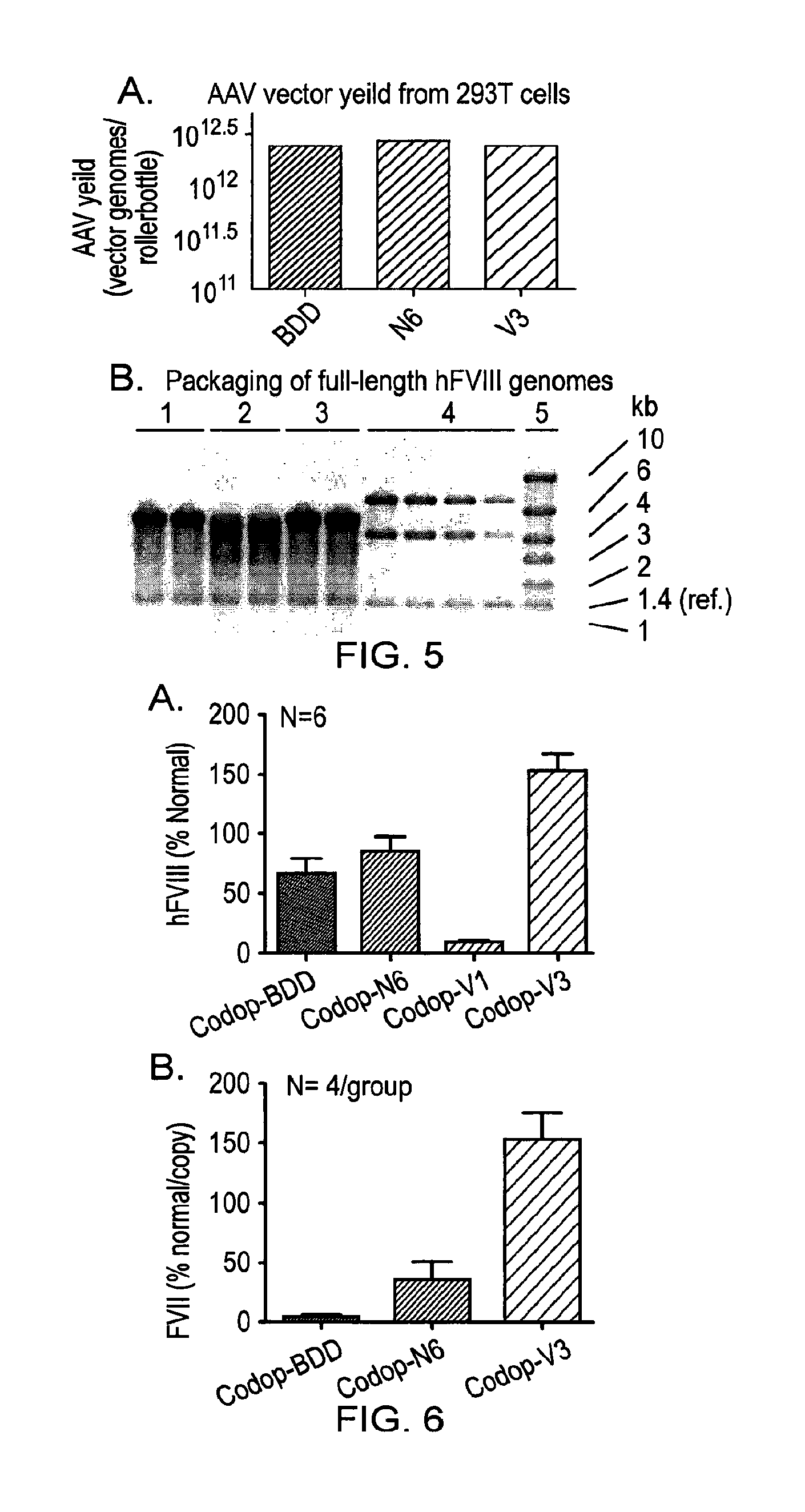 Factor viii sequences