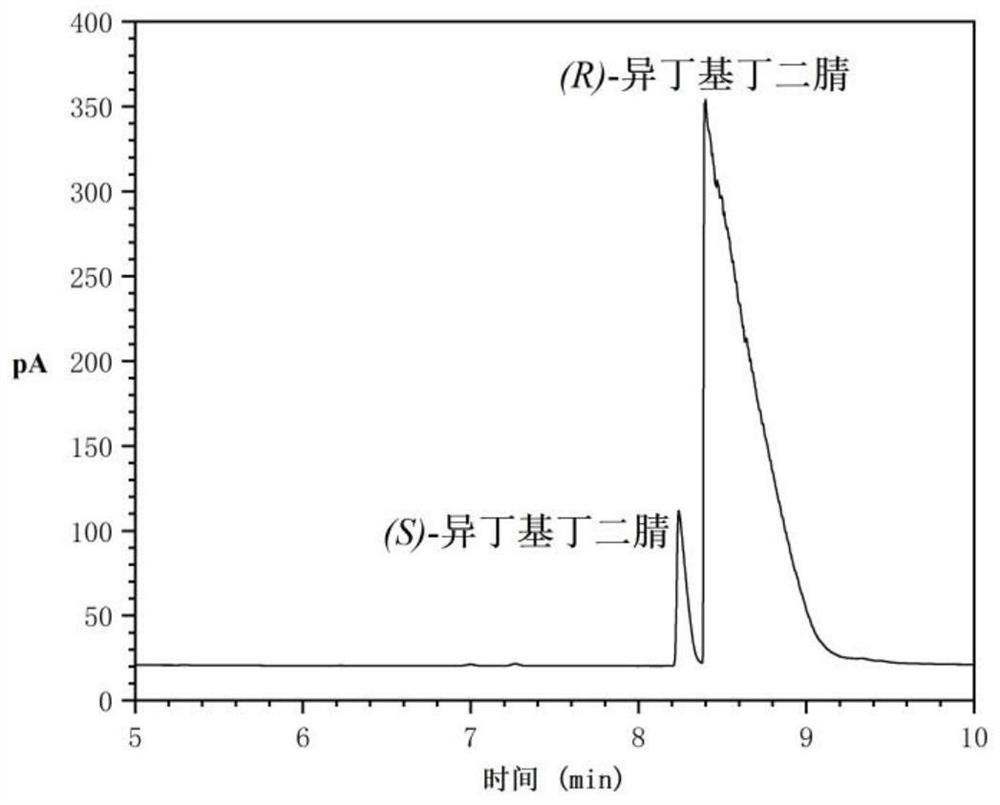 Racemization method of optically pure isobutyl butanedinitrile