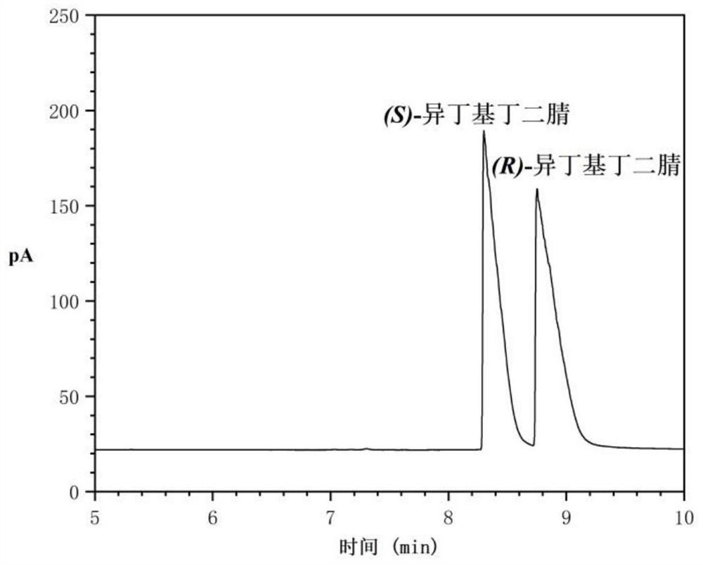 Racemization method of optically pure isobutyl butanedinitrile