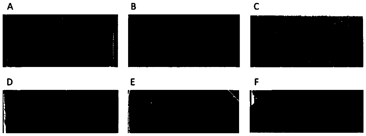 Optical structure based on cholesteric liquid crystal polymer semi-interpenetrating network and manufacturing method