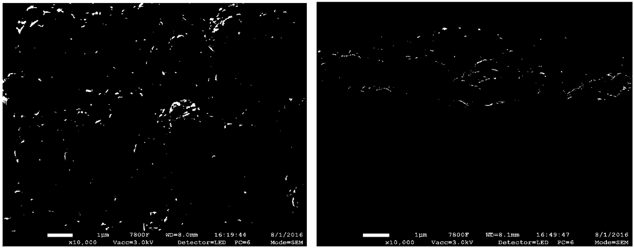 Lithium-sulfur battery electrode and preparation method thereof, and lithium-sulfur battery structure containing lithium-sulfur battery electrode