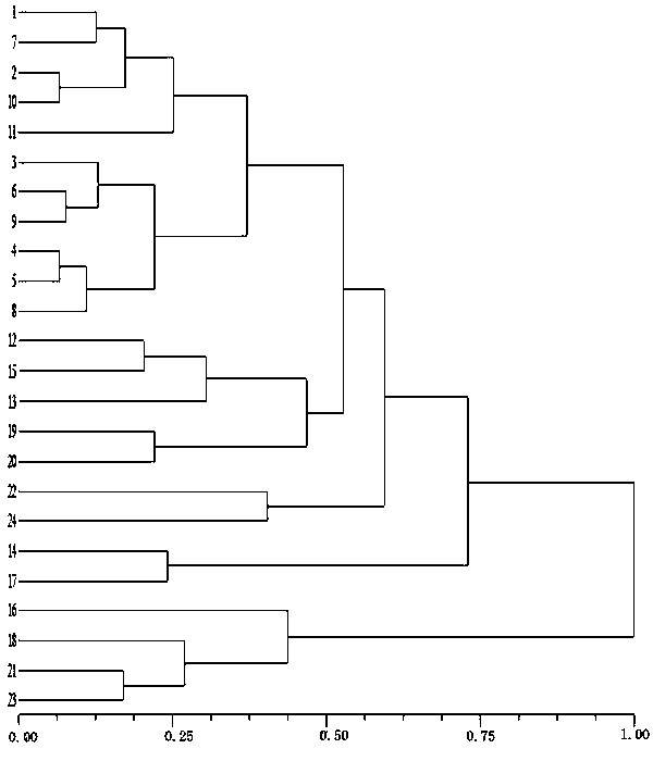 Broccoli SSR (simple sequence repeat) primer based on transcriptome sequencing and development