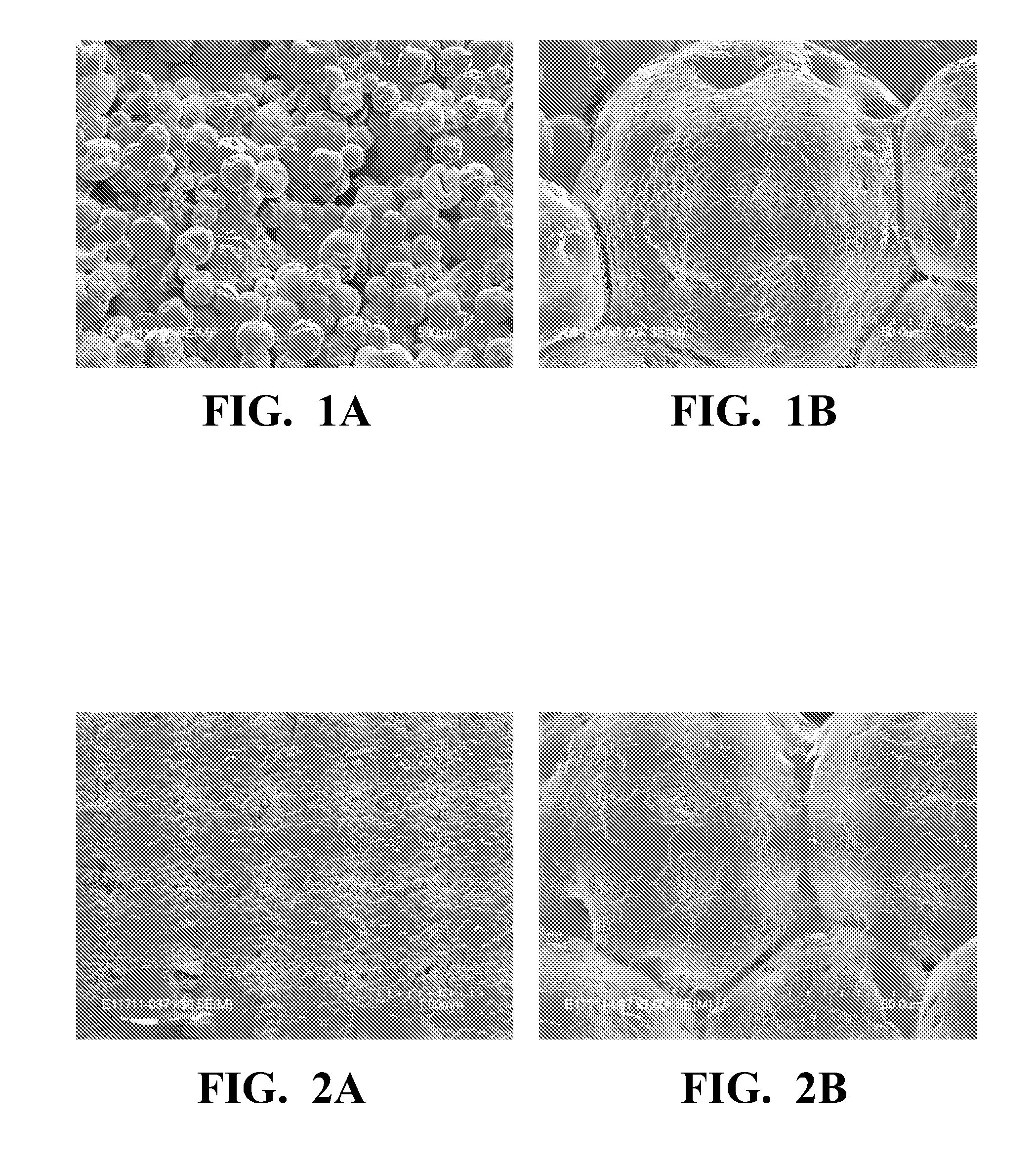 Dimensionally stable, shaped articles comprised of dried, aggregated, water-swellable hydrogel microspheres and method of making same