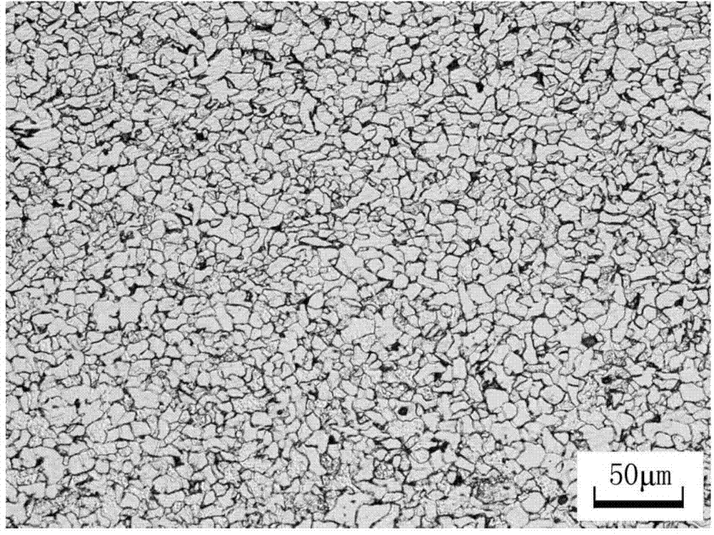 440MPa-tensile-strength hot-rolled high-strength steel sheet and production method thereof