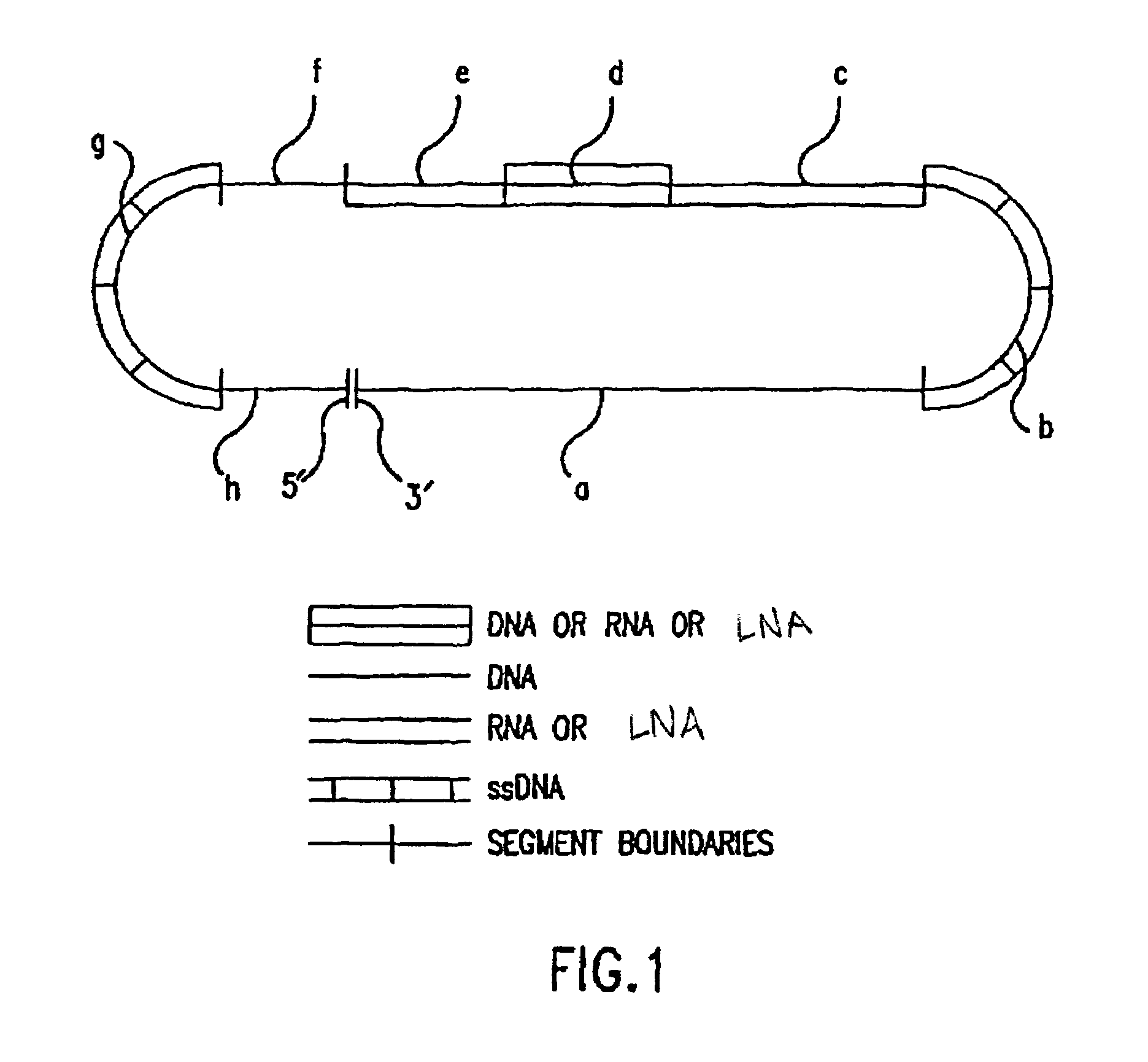 Locked nucleic acid containing heteropolymers and related methods