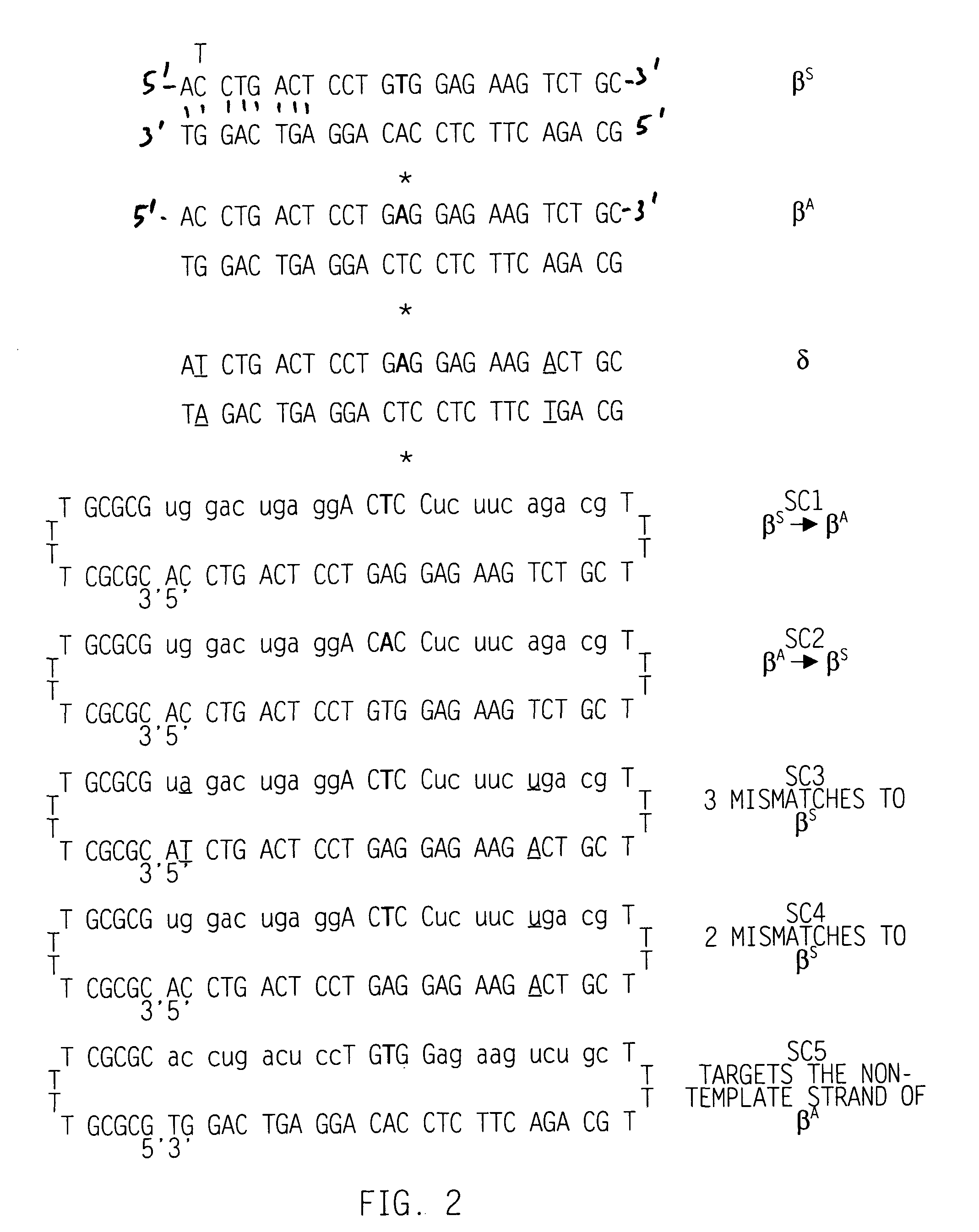 Locked nucleic acid containing heteropolymers and related methods