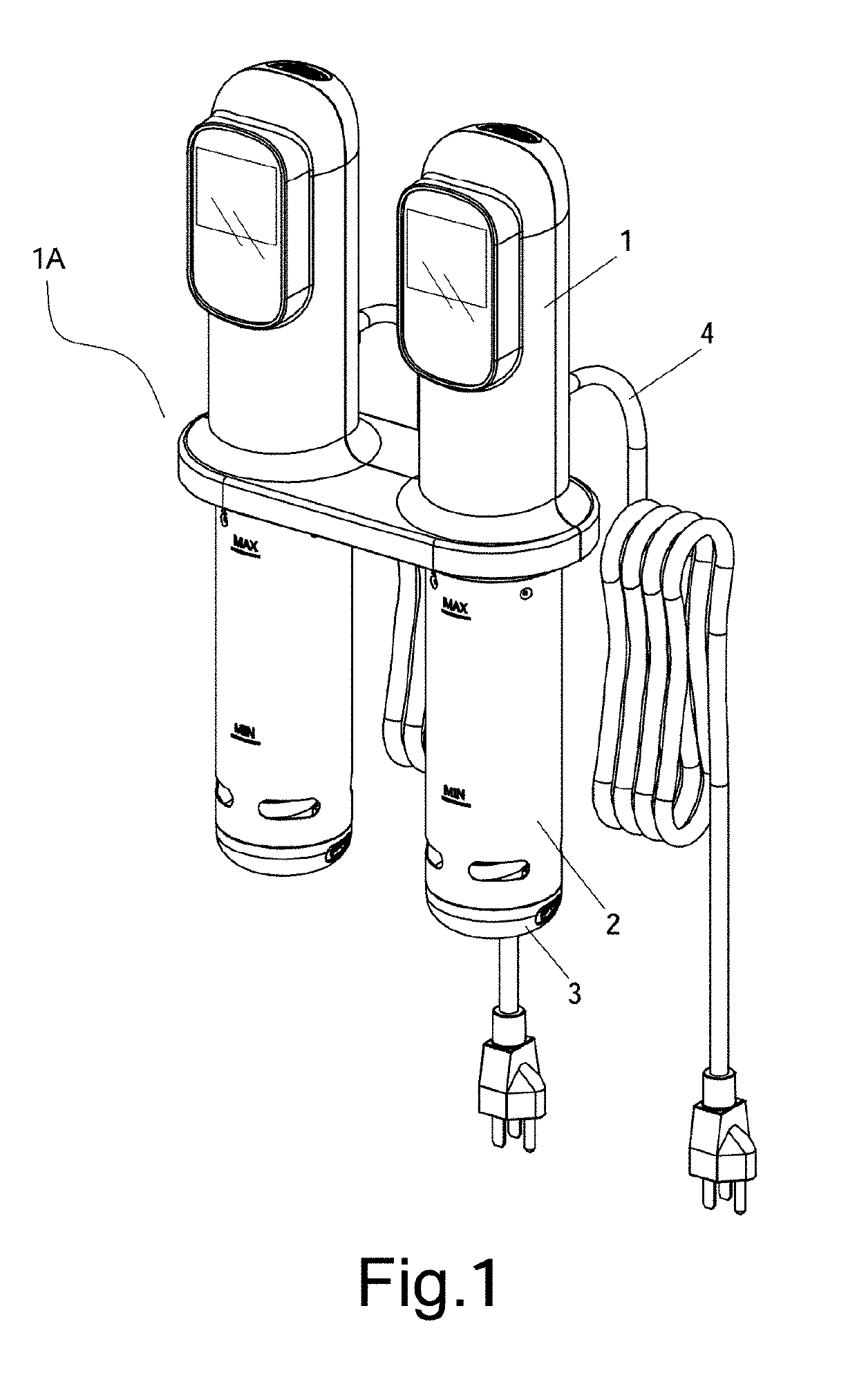 Double tube immersion electronic circulation cooking device