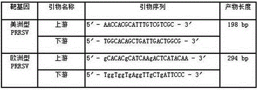 Multiple RT-PCR detection kit for American type porcine reproductive and respiratory syndrome virus and porcine parvovirus