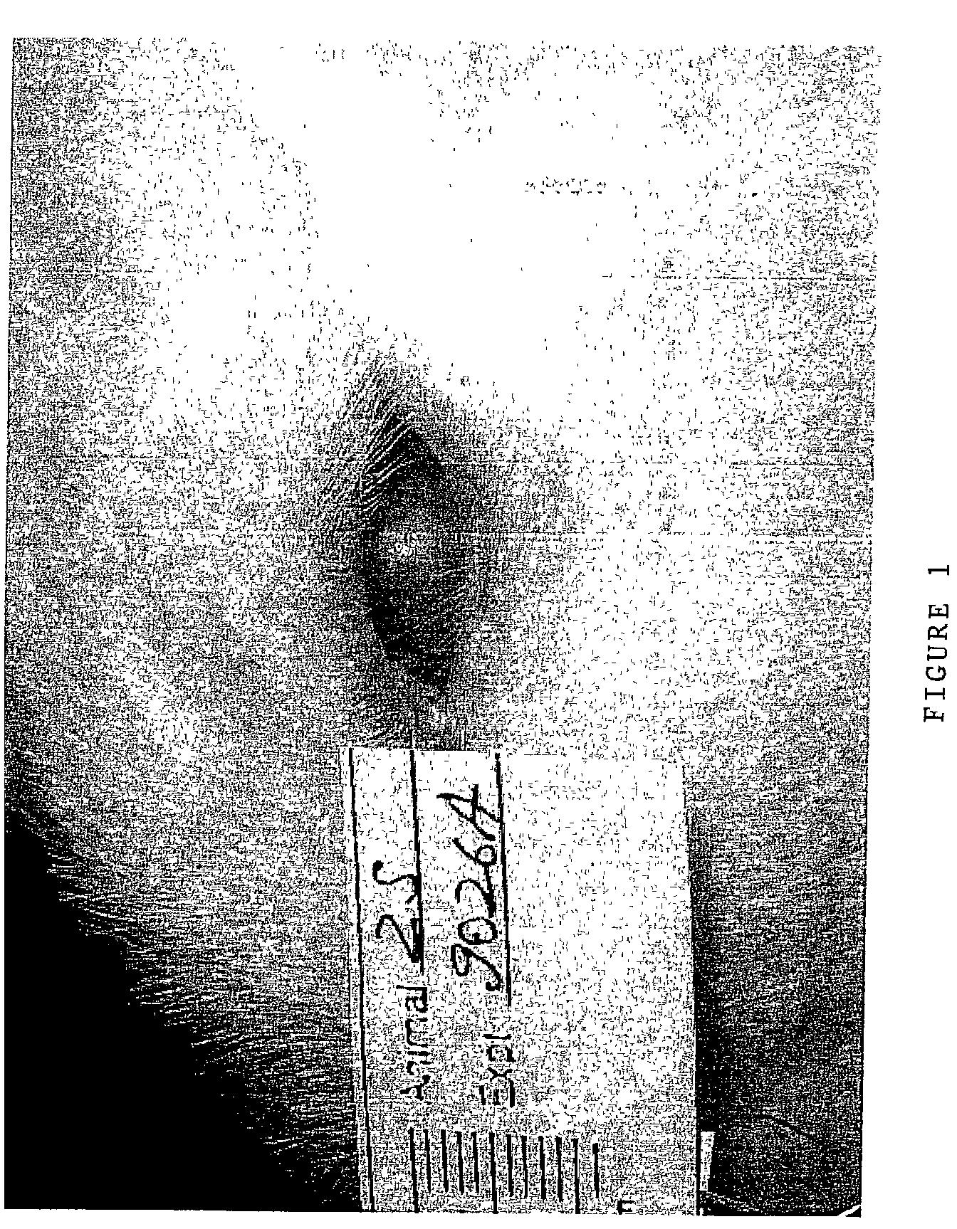 Compositions comprising microspheres with anti-inflammatory properties for healing of ocular tissues