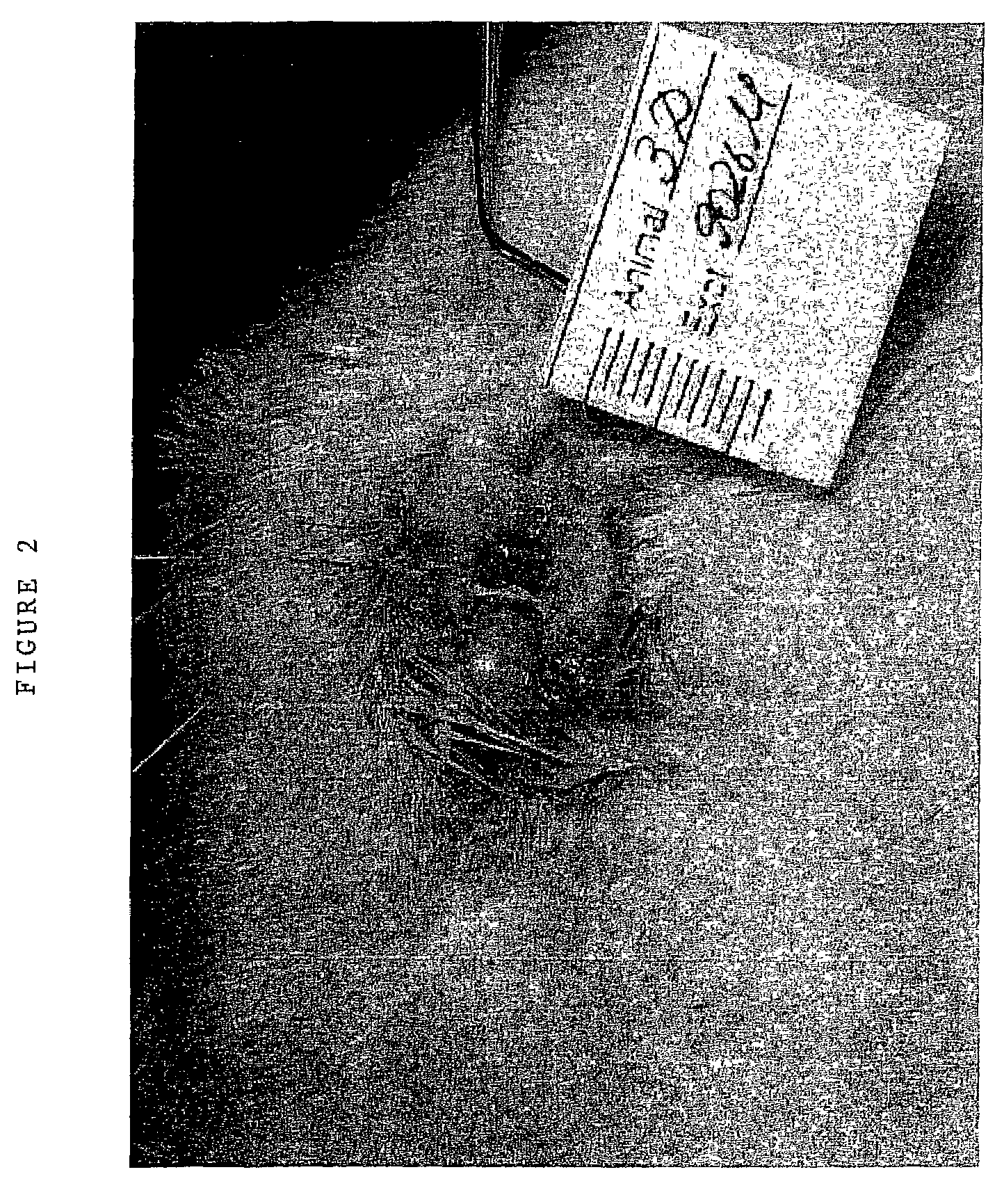 Compositions comprising microspheres with anti-inflammatory properties for healing of ocular tissues