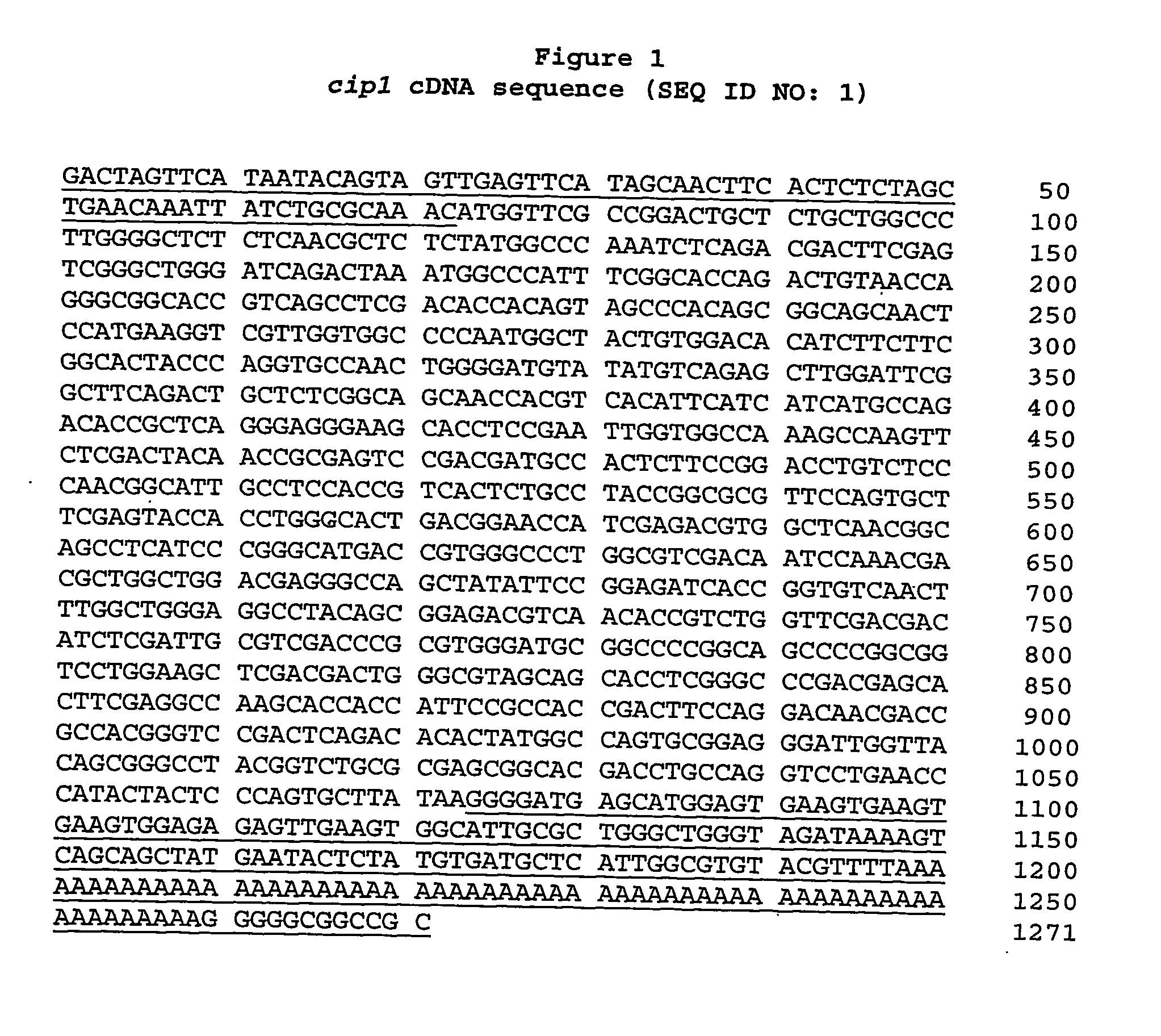 Novel trichoderma genes