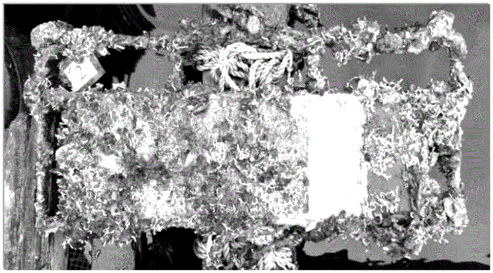 Environmentally-friendly ocean antifouling paint based on self-polishing polymer/butenolide and derivatives thereof