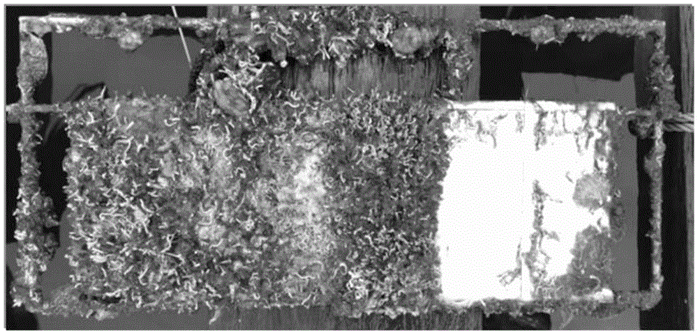 Environmentally-friendly ocean antifouling paint based on self-polishing polymer/butenolide and derivatives thereof