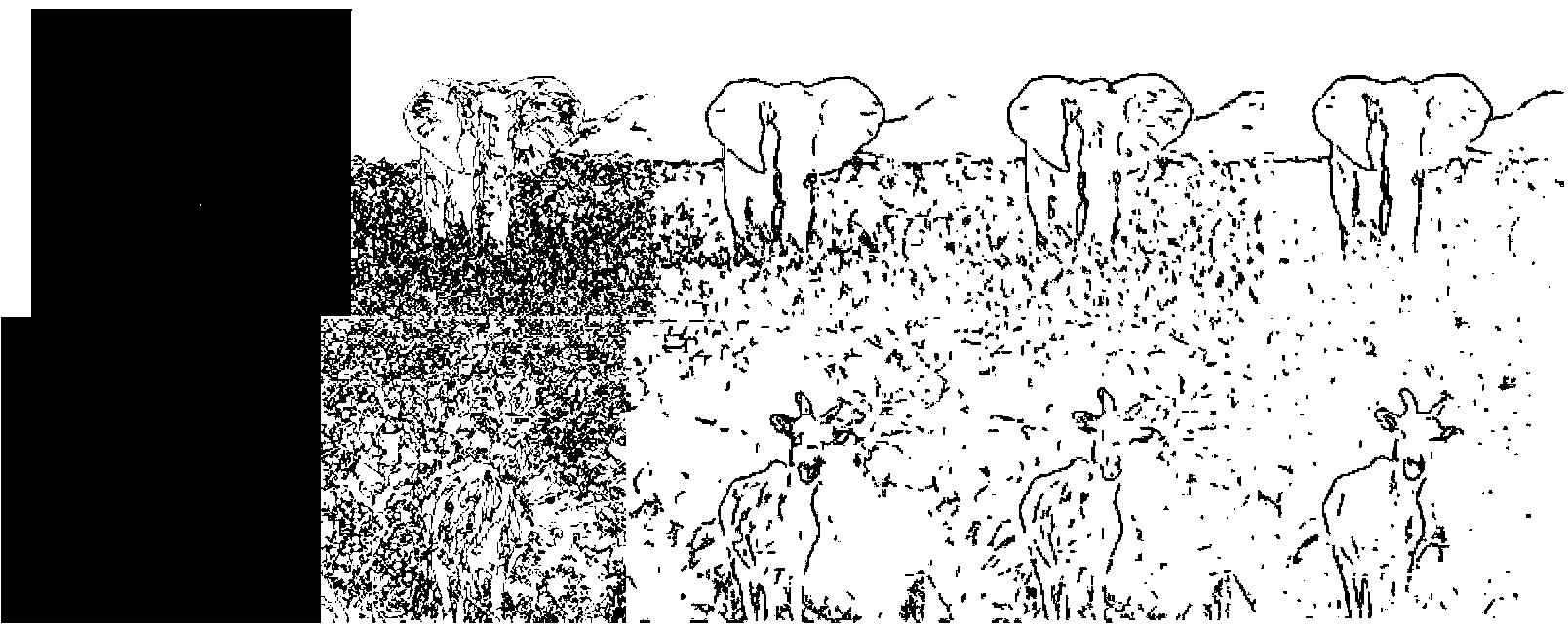 Night vision image salient contour extracting method based on non-classical receptive field composite modulation