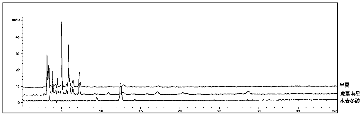 Method for detecting adulteration of pinellia pedatisecta Schott in pinellia ternata