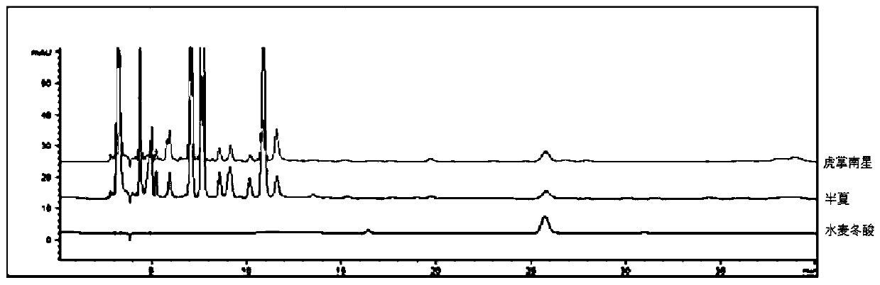 Method for detecting adulteration of pinellia pedatisecta Schott in pinellia ternata