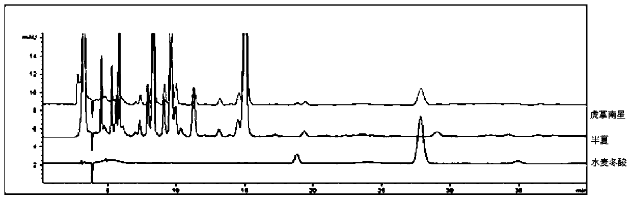 Method for detecting adulteration of pinellia pedatisecta Schott in pinellia ternata