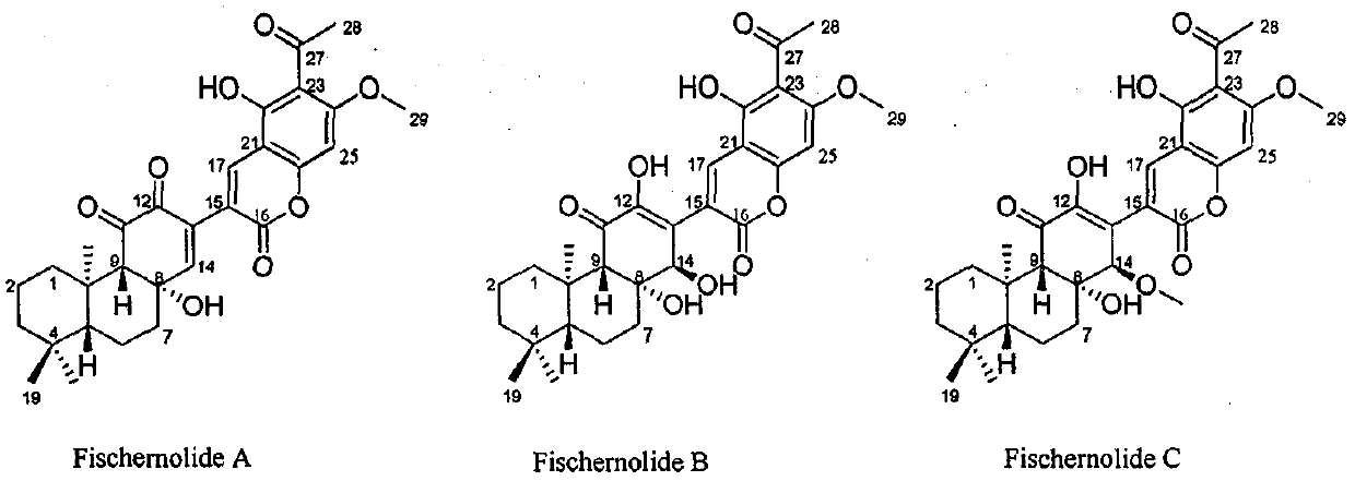 Novel skeleton meroterpenoid compound and its preparation method, pharmaceutical composition and application in anticancer medicines