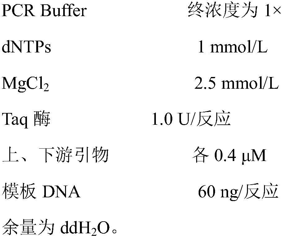 Characteristic sequence, primers and identification method of Carya illinoinensis varieties Nacono and Sumner