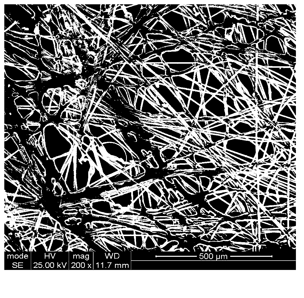 Lithium ion battery diaphragm with special structure and preparation method thereof