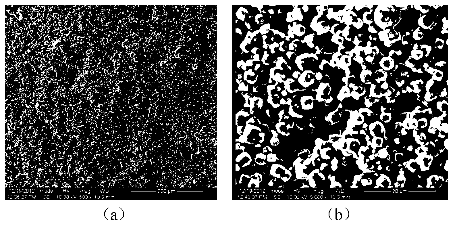 Lithium ion battery diaphragm with special structure and preparation method thereof