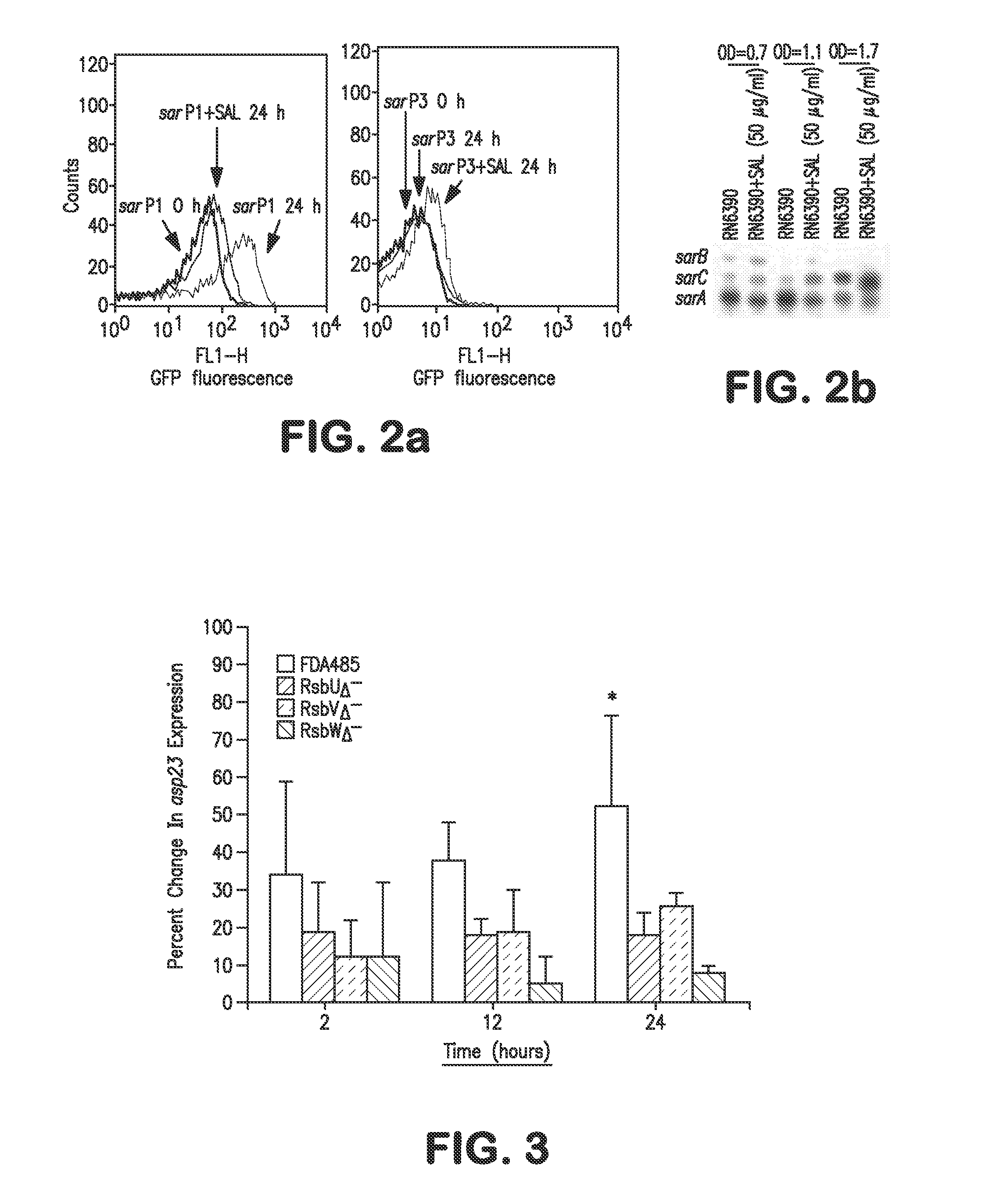 Anti-infective hydroxy-phenyl-benzoates and methods of use