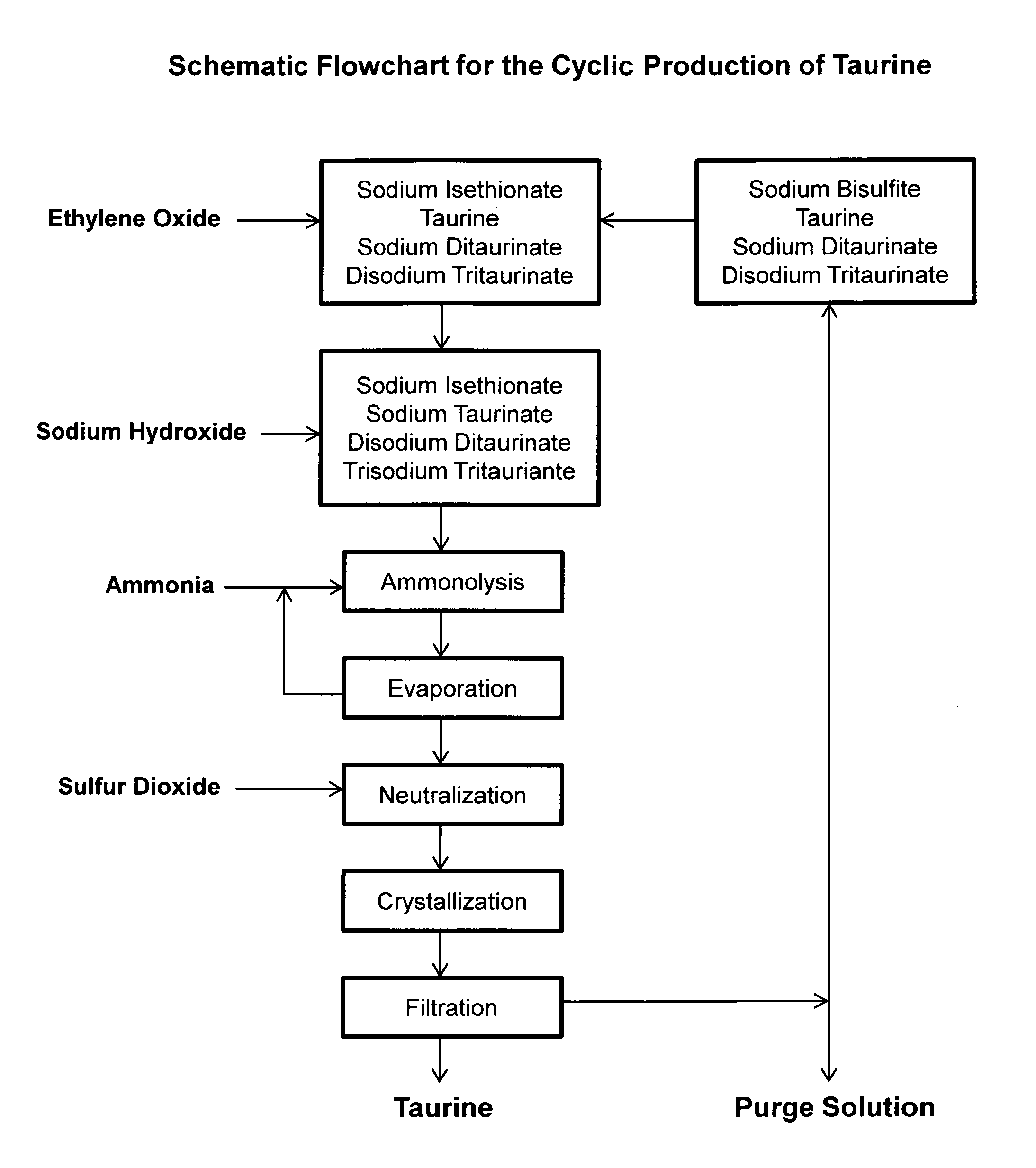 Cyclic process for the production of taurine from ethylene oxide