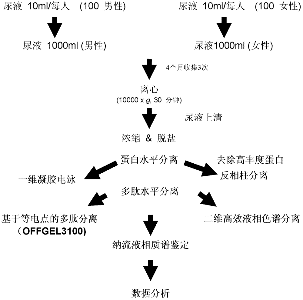 Testing kit and testing method for early screening or assisting diagnosis of urinary system diseases as well as applications of testing kit and testing method