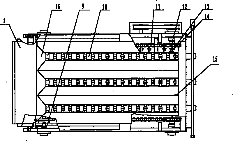 Self-orientation slicing machine for producing dry tomato