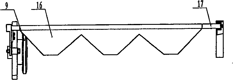 Self-orientation slicing machine for producing dry tomato