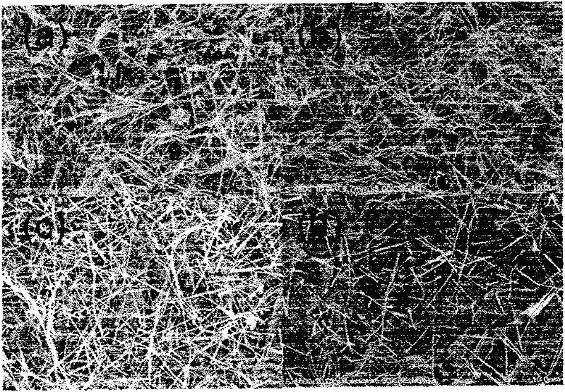 Large-scale preparation method of niobium pentoxide nanowires and hydrogen-sensitive element thereof