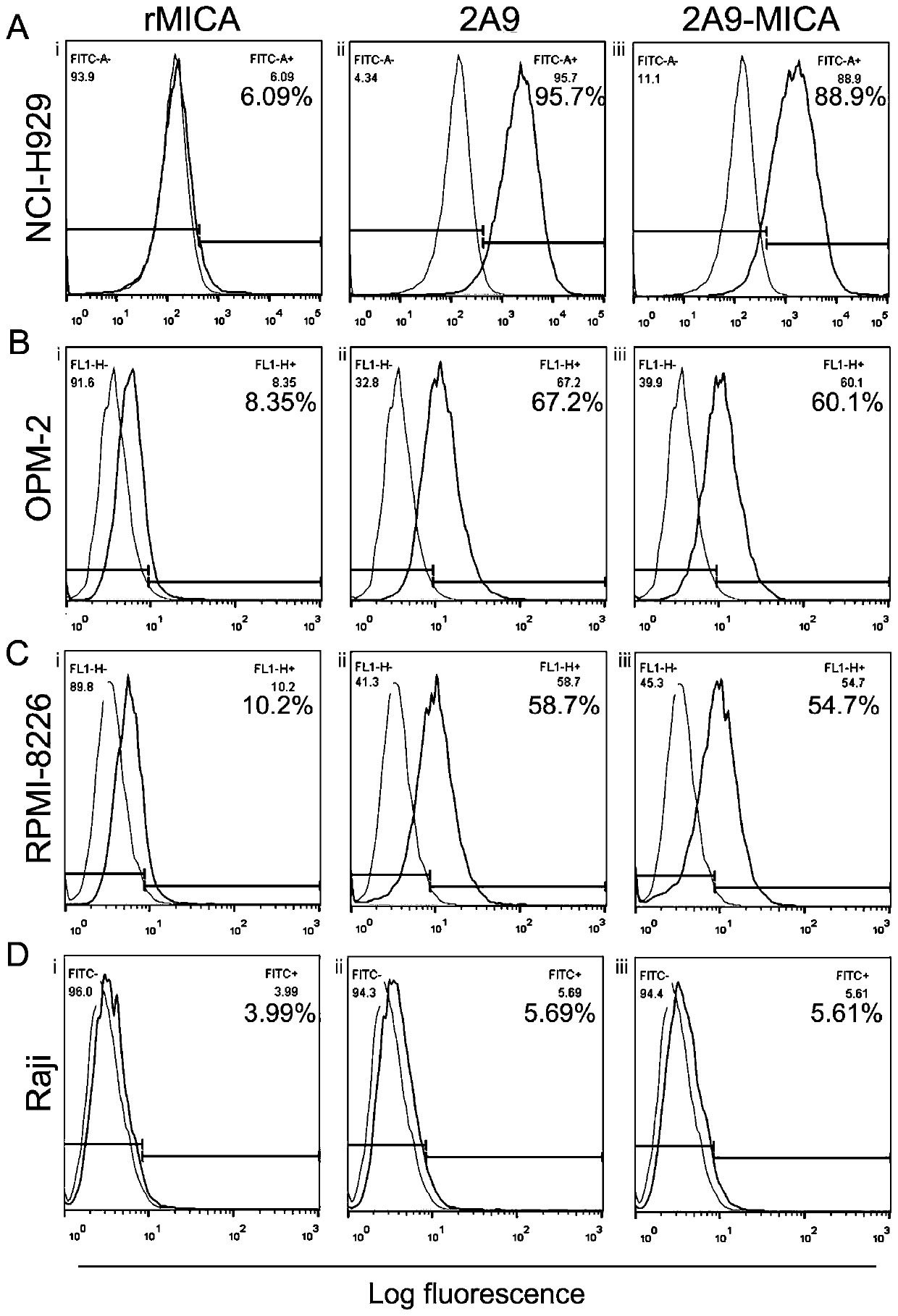 Preparation of bispecific antibody targeting human BCMA and activating NK cells and application of bispecific antibody