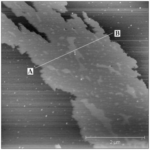 Method for preparing graphene by stripping flake graphite with liquid rubbers