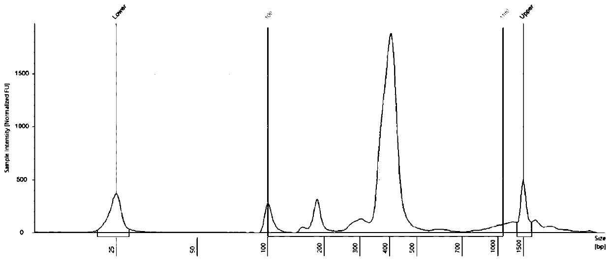 Universal high-throughput sequencing adapter and application thereof