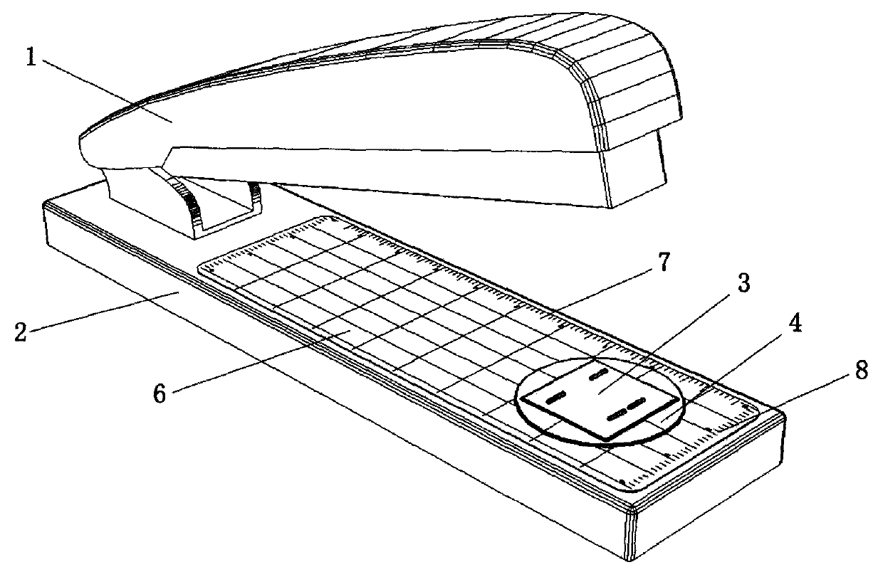 Stapler provided with stapling scale