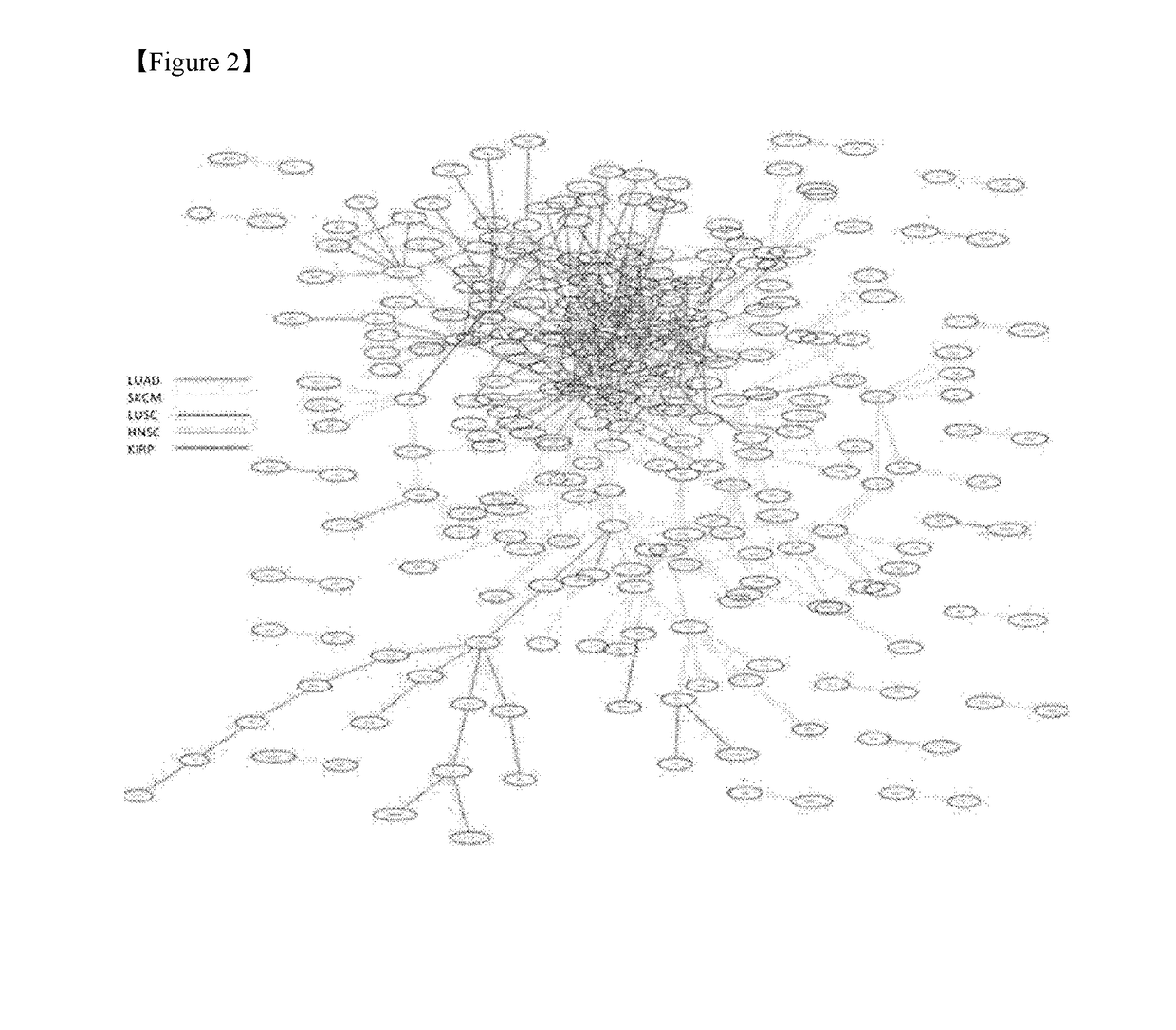 Method and system for selecting customized drug using genomic nucleotide sequence variation information and survival information of cancer patient