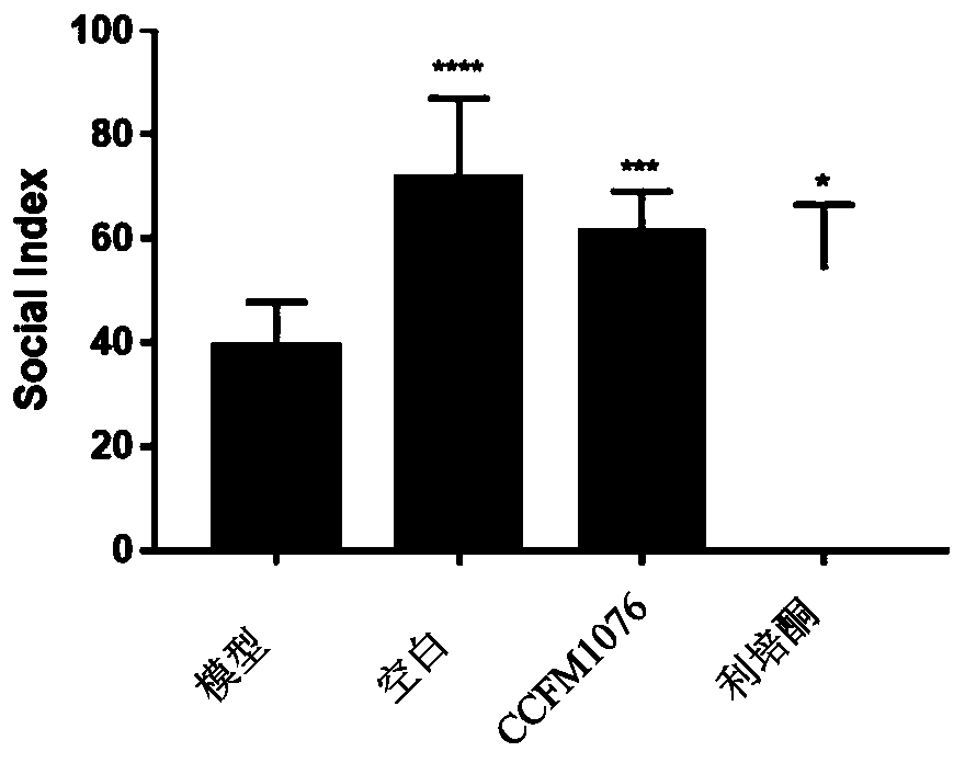 Lactobacillus helveticus and application thereof