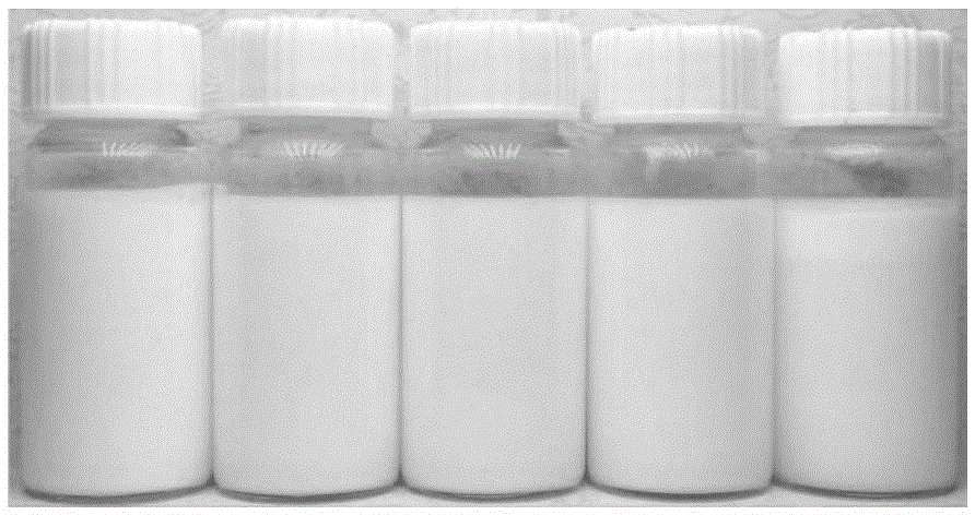 Measurement device and measurement method for measuring flow of capillary tube bundle for nano-emulsion