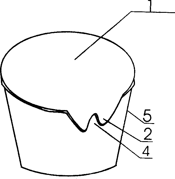 Instant noodle bowl lid plaster and its production method