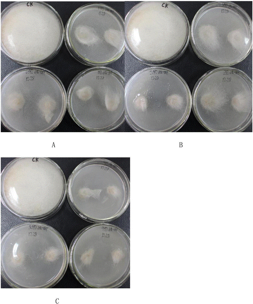 Bacillus subtilis fertilizer and preparation method and application thereof