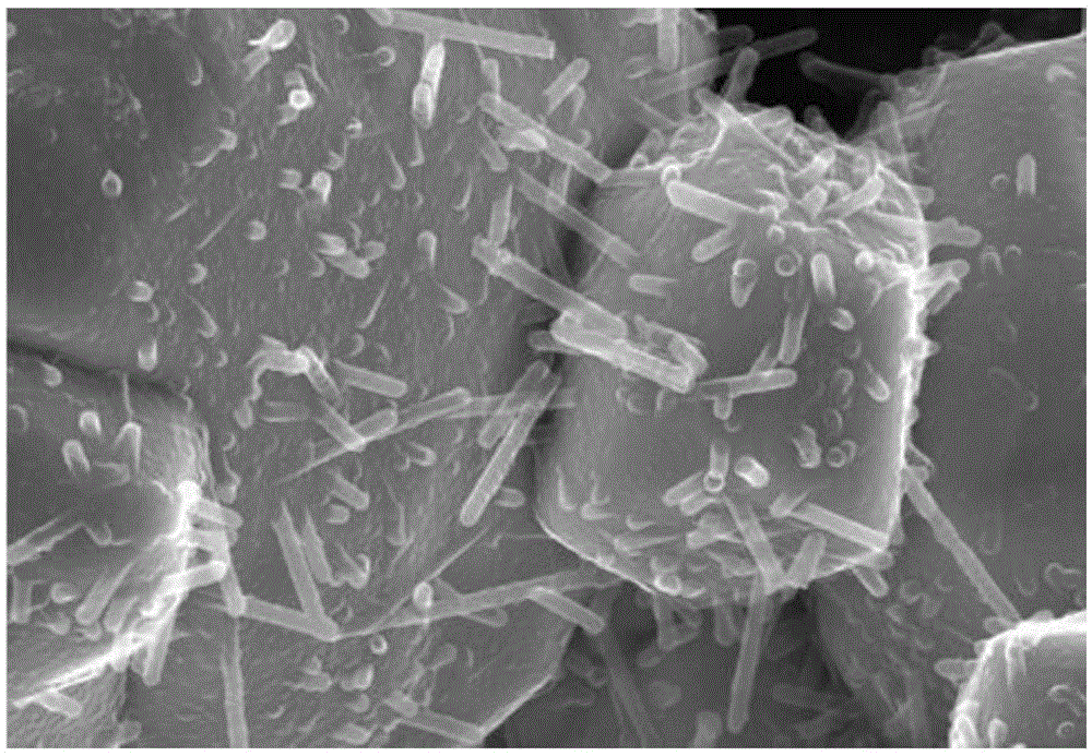 Method for preparing WC/W composite powder through in-situ reaction