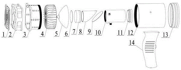 Portable optical detection probe for the internal quality of pachyderm fruits